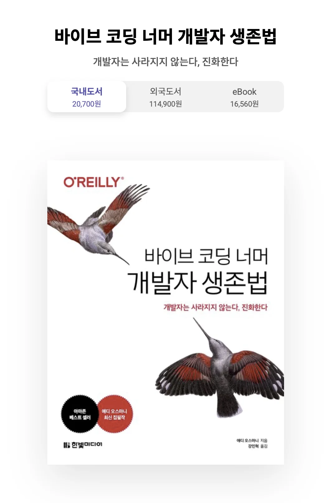 바이브 코딩 너머 개발자 생존법 표지